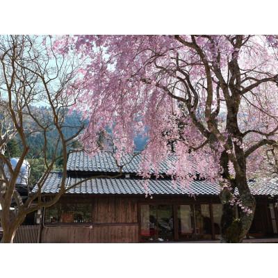 ふるさと納税 南丹市 貸別荘/一棟貸し/ペット同伴OK/BBQ/カラオケ[貸別荘ミヤマテラス]宿泊ギフト券30,000円分