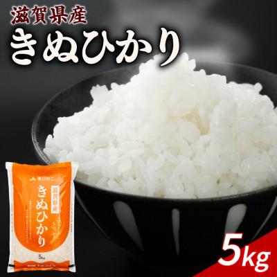 ふるさと納税 彦根市 令和7年産 きぬひかり 5kg [滋賀でとれたお米、近江米!]