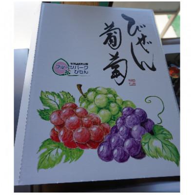 ふるさと納税 備前市 [びぜん葡萄]桃太郎ぶどうとシャインマスカット(ハウス栽培)各1房(2026年発送分)