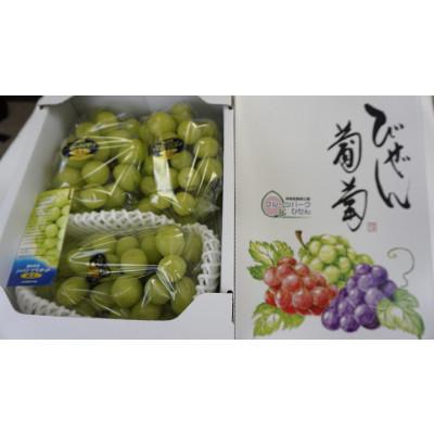 ふるさと納税 備前市 [びぜん葡萄]シャインマスカット(ハウス栽培)約2kg 3〜5房(2026年発送分)