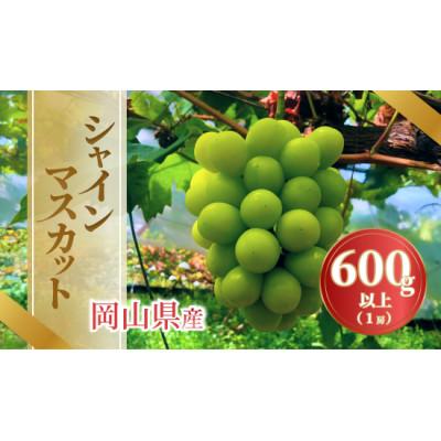 ふるさと納税 津山市 [2026年発送]岡山県産シャインマスカット 600g以上1房入
