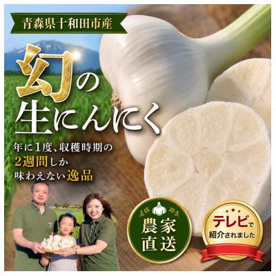 ふるさと納税 十和田市 [テレビ紹介]青森 幻の生にんにく 2玉(大中玉・サイズ混合)|農家直送・収穫期だけの限定品