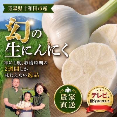 ふるさと納税 十和田市 [テレビ紹介]青森 幻の生にんにく15玉|農家直送・収穫期だけの限定品