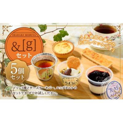 ふるさと納税 守谷市 [&amp;g]セット 5個セット