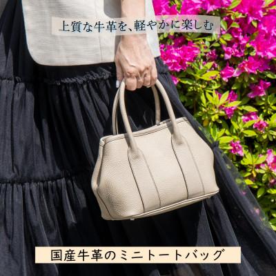 ふるさと納税 尼崎市 HEDGE 身軽に使えるミニトートバッグ ティエ[SSサイズ] シュリンク型押しサンドベージュ