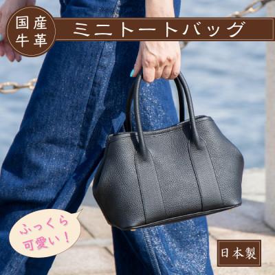 ふるさと納税 尼崎市 HEDGE 身軽に使えるミニトートバッグ ティエ[SSサイズ] シュリンク型押し牛革