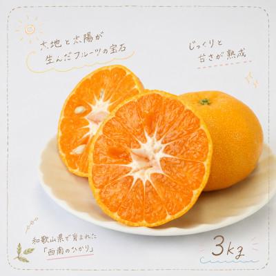 ふるさと納税 湯浅町 [訳あり 家庭用]西南のひかり 3kg(S〜2Lサイズ混合)