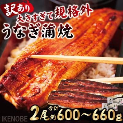 ふるさと納税 常陸大宮市 [ふるさと納税]うなぎ蒲焼き2尾冷凍たれ山椒付き 中国産
