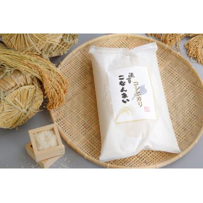 ふるさと納税 湖南市 滋賀こなんまい コシヒカリ 計10kg