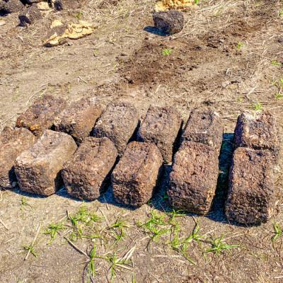 ふるさと納税 日吉津村 家庭菜園やカブトムシ・クワガタムシのマットに。廃菌床12個入り