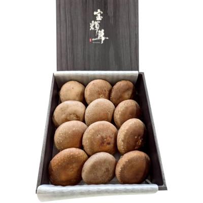 ふるさと納税 日吉津村 こだわり極めたしいたけ「宝輝茸」