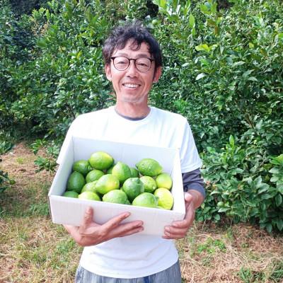 ふるさと納税 大崎上島町 【2026年10月〜11月発送】大崎上島産オーガニックグリーンレモン 約5kg(有機JAS認証) |  | 03