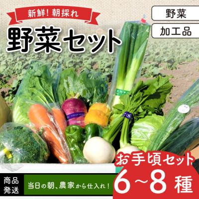 ふるさと納税 日吉津村 新鮮朝採れ野菜 お手頃セット