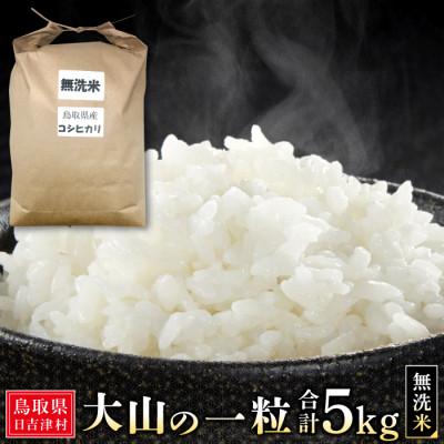 ふるさと納税 日吉津村 大山の一粒 無洗米 5kg