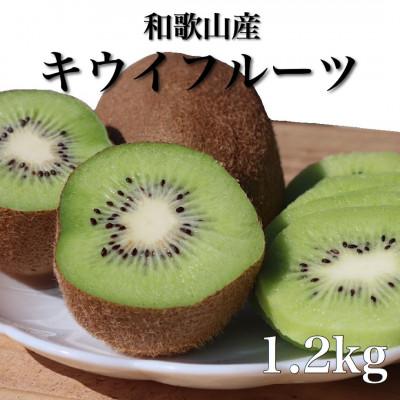 ふるさと納税 由良町 [2027年1月下旬から順次発送]和歌山産 キウイフルーツ 約1.2kg 秀品