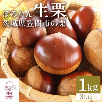ふるさと納税 笠間市 [2026年 秋 先行予約]笠間の栗・箱田農園の生栗「ぽろたん」1kg(3L以上)