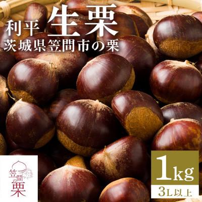 ふるさと納税 笠間市 [2026年 秋 先行予約]笠間の栗・箱田農園の生栗「利平」1kg(3L以上)