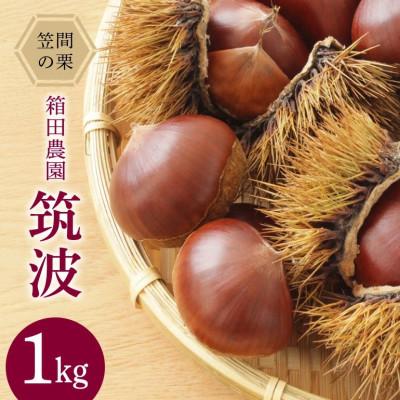 ふるさと納税 笠間市 [2026年 秋 先行予約]笠間の栗・箱田農園の生栗「筑波」1kg