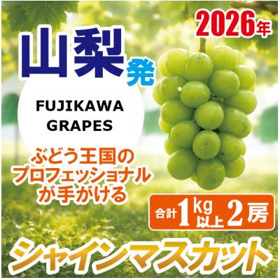 ふるさと納税 富士川町 [秀品以上]上級品/[シャインマスカット]/合計1.0kg以上(2房)