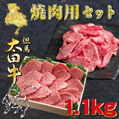 ふるさと納税 養父市 但馬 太田牛 焼肉&amp;おまかせ焼肉セット 計1.1kg