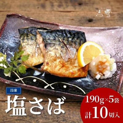 ふるさと納税 小千谷市 塩さば 合計10切 合計950g (1袋約190g 2切×5袋) 個包装・真空パック
