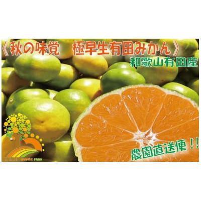 ふるさと納税 広川町 こだわりの極早生みかん 約2kg (nuk003-r-2A)