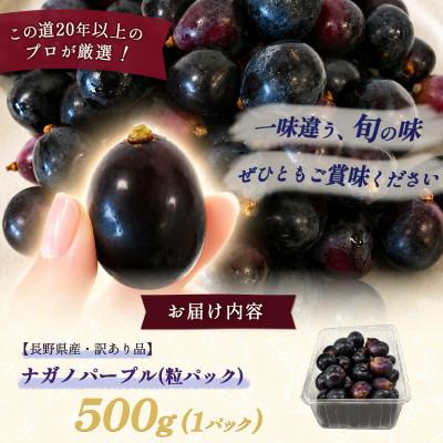 ふるさと納税 塩尻市 【長野県産・訳あり品】ナガノパープル(粒パック)500g |  | 01