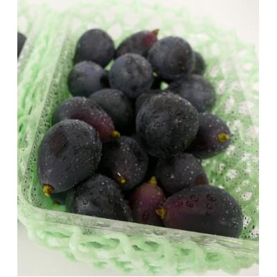 ふるさと納税 塩尻市 【長野県産・訳あり品】ナガノパープル(粒パック)500g |  | 03