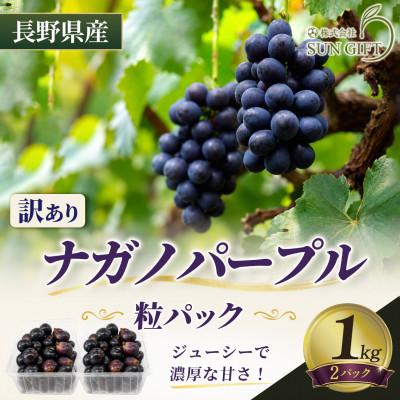 ふるさと納税 塩尻市 [長野県産・訳あり品]ナガノパープル(粒パック)1kg