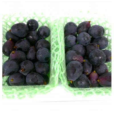 ふるさと納税 塩尻市 【長野県産・訳あり品】ナガノパープル(粒パック)1kg |  | 03