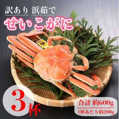 ふるさと納税 越前町 [2026年11月中旬頃より順次発送][訳あり][浜茹で]越前産せいこがに3杯(生で合計約600g)