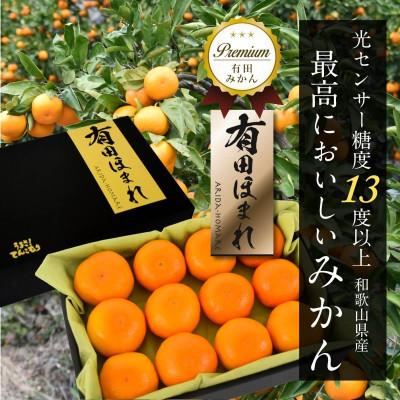 ふるさと納税 湯浅町 高糖度13度以上 有田ほまれ 秀品 Мサイズ 12玉