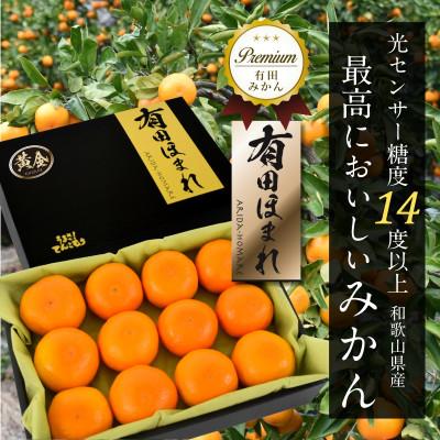 ふるさと納税 湯浅町 高糖度14度以上 有田ほまれ 黄金(こがね) 秀品Мサイズ 12玉