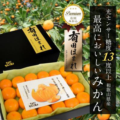 ふるさと納税 湯浅町 高糖度13度以上 有田ほまれ Мサイズ 秀品 24玉