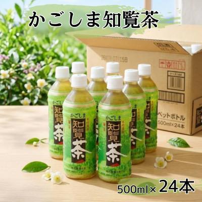 ふるさと納税 南九州市 【かごしま知覧茶】　500mlペットボトル×24本入り | 