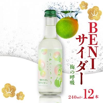 ふるさと納税 若狭町 BENIサイダー 梅の呼吸 12本