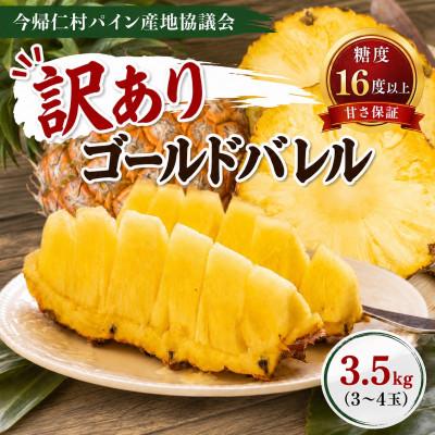 ふるさと納税 今帰仁村 【2026年6月下旬から順次発送】今帰仁村パイン 