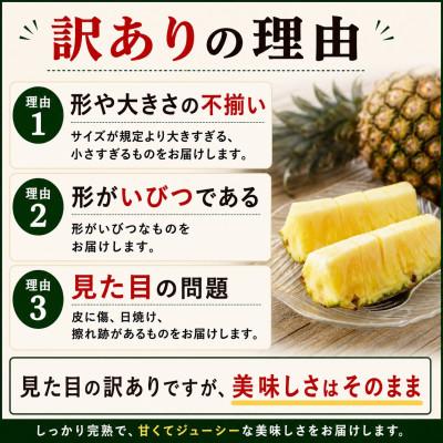 ふるさと納税 今帰仁村 【2026年6月下旬から順次発送】今帰仁村パイン 