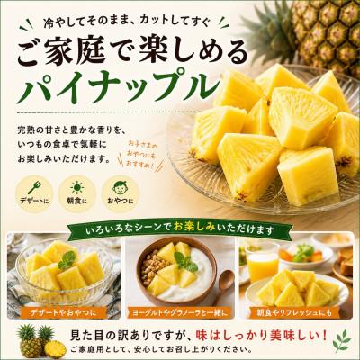 ふるさと納税 今帰仁村 【2026年6月下旬から順次発送】今帰仁村パイン 