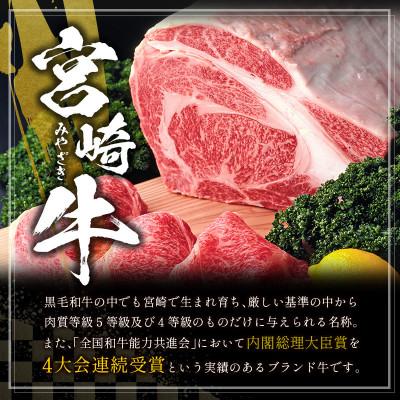ふるさと納税 新富町 宮崎牛赤身モモスライス500g(新富町) |  | 02