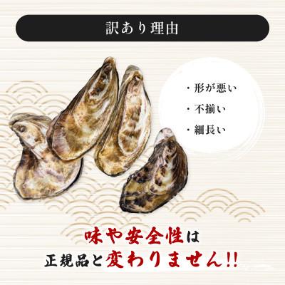 ふるさと納税 中津市 牡蠣 計600g 訳あり 生食用 殻付き 真牡蠣(中津市)_2