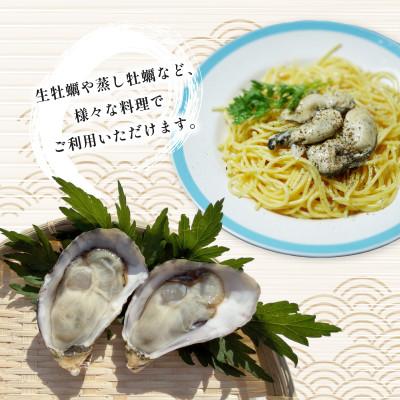 ふるさと納税 中津市 牡蠣 計600g 訳あり 生食用 殻付き 真牡蠣(中津市)_3