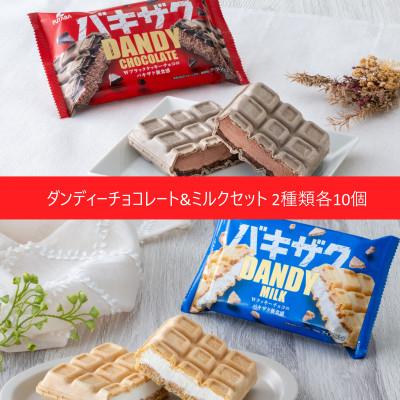 ふるさと納税 矢巾町 フタバ食品 アイス20個 ダンディーチョコレート&amp;ミルクセット 2種類各10個
