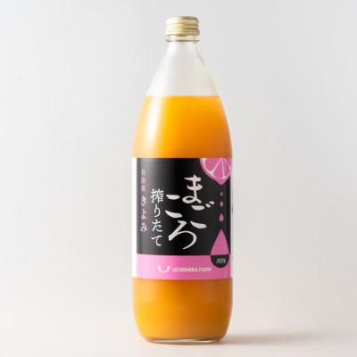 ふるさと納税 印南町 [まごころ搾りたて]清見100%ジュース 1000ml 1本