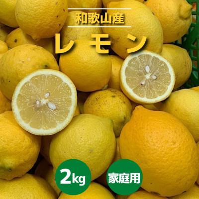 ふるさと納税 かつらぎ町 [ご家庭用]和歌山県産 レモン 約2kg[2027年1月中旬より順次発送]