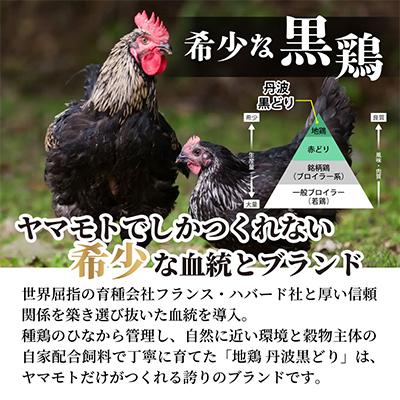 ふるさと納税 亀岡市 【訳あり】地鶏丹波黒どり ムネ肉 切り身 1.2kg(240g×5パック)《京都亀岡丹波山本》 |  | 02