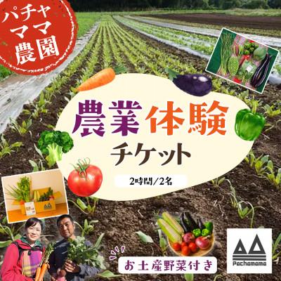 ふるさと納税 下妻市 [土にふれて学ぶ]農業体験チケット(2時間/2名)+お土産野菜付き 1枚