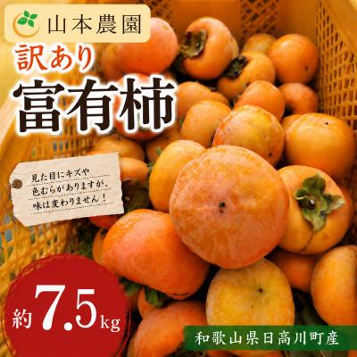 ふるさと納税 日高川町 [訳あり]和歌山県産 富有柿(サイズ混合) 甘くて濃厚 約7.5kg
