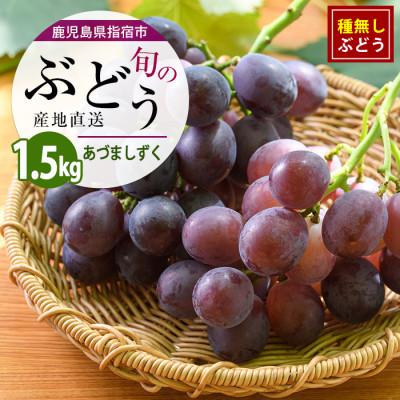 ふるさと納税 指宿市 迫田果樹園のぶどう あづましずく 約1.5kg (IB064-010)