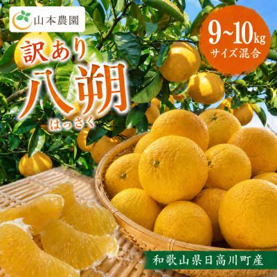 ふるさと納税 日高川町 [訳あり] 和歌山県日高川町産 はっさく(サイズ混合) 甘酸っぱい 9〜10kg